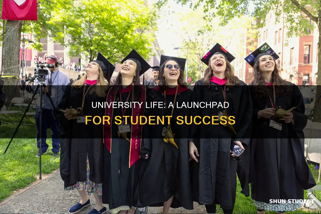 why might a university be good for some students