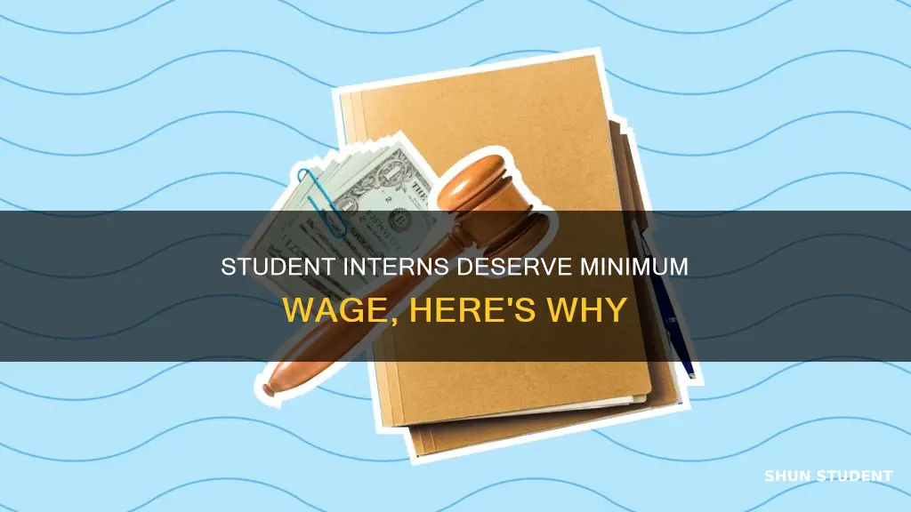 why minimum wage should be offered to student interns