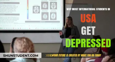 International Students' Depression in the USA: Understanding the Factors