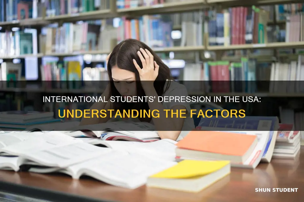 why most international students in usa get depressed