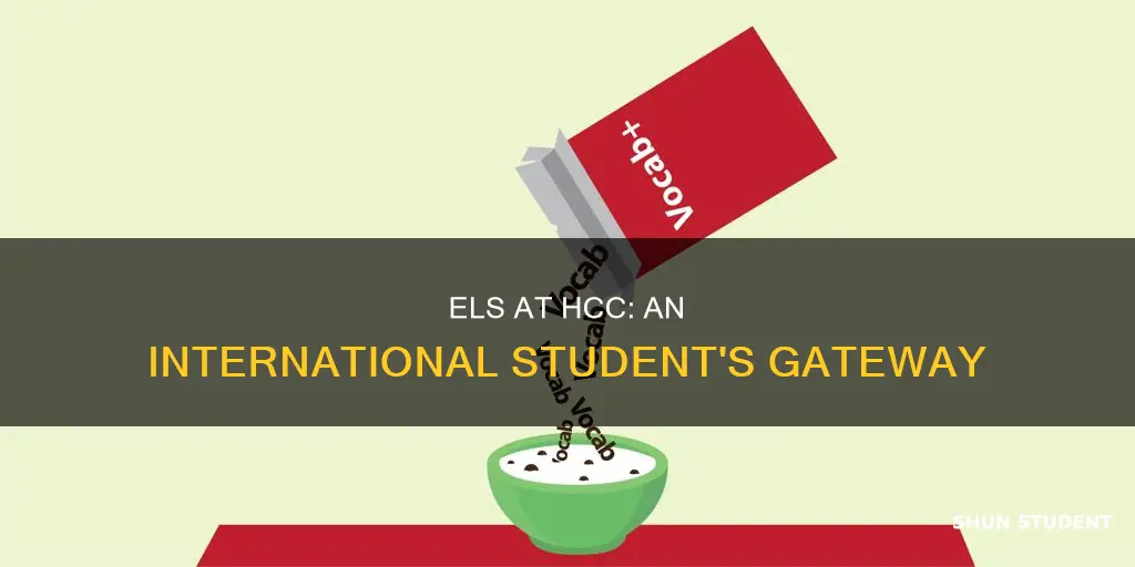 why must an international student take els in hcc