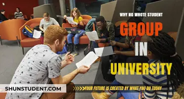 Diversity in Student Groups: Why No White Student Group?