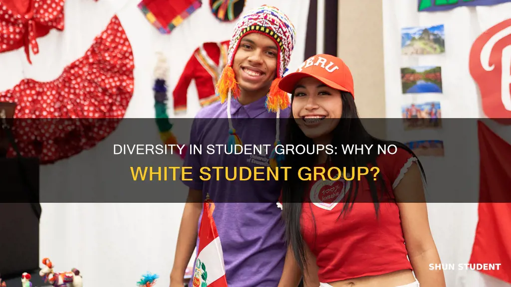 why no whote student group in university