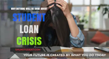 Student Loan Crisis: Why Political Gridlock Ensures No Real Solutions