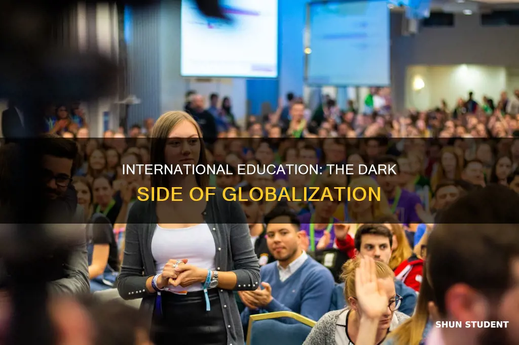 why offering education to international students isbad