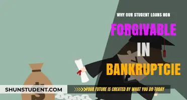 Why Student Loans Survive Bankruptcy: Unforgivable Debt Explained