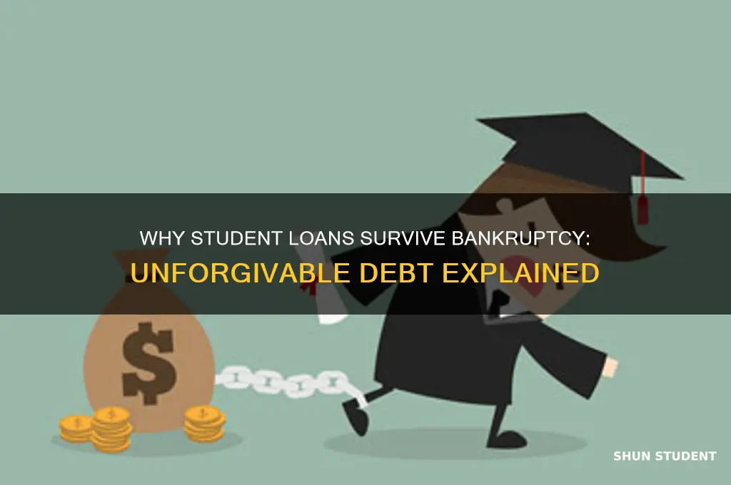 why our student loans non forgivable in bankruptcies