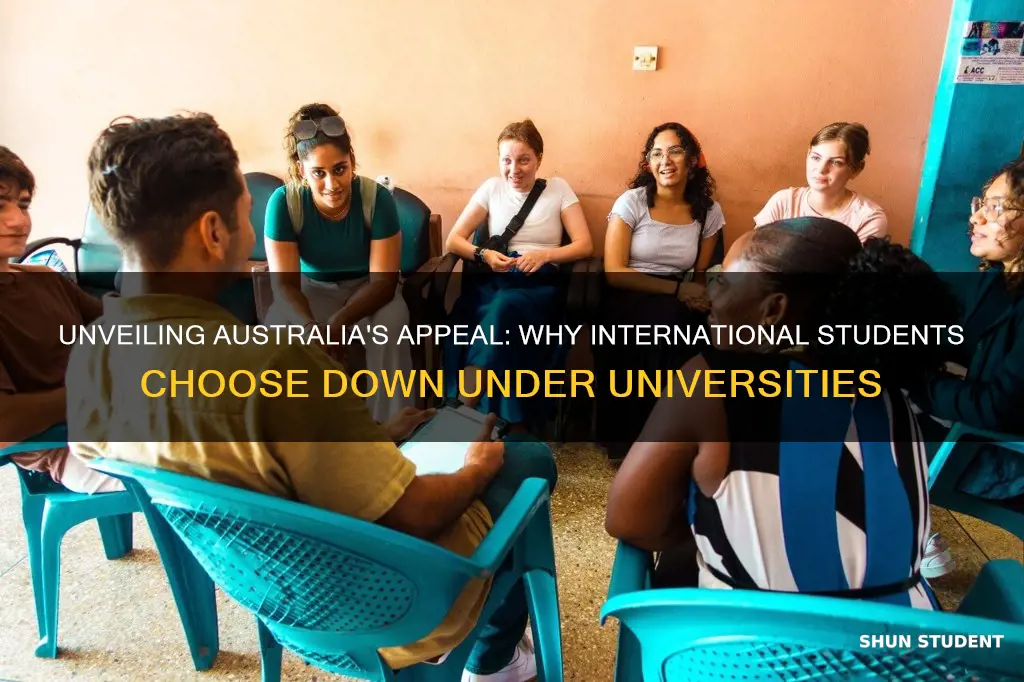 why overseas students choose to study at australian universities