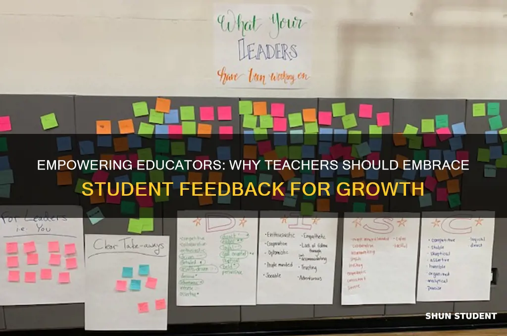 why should a teacher seek feedback from students