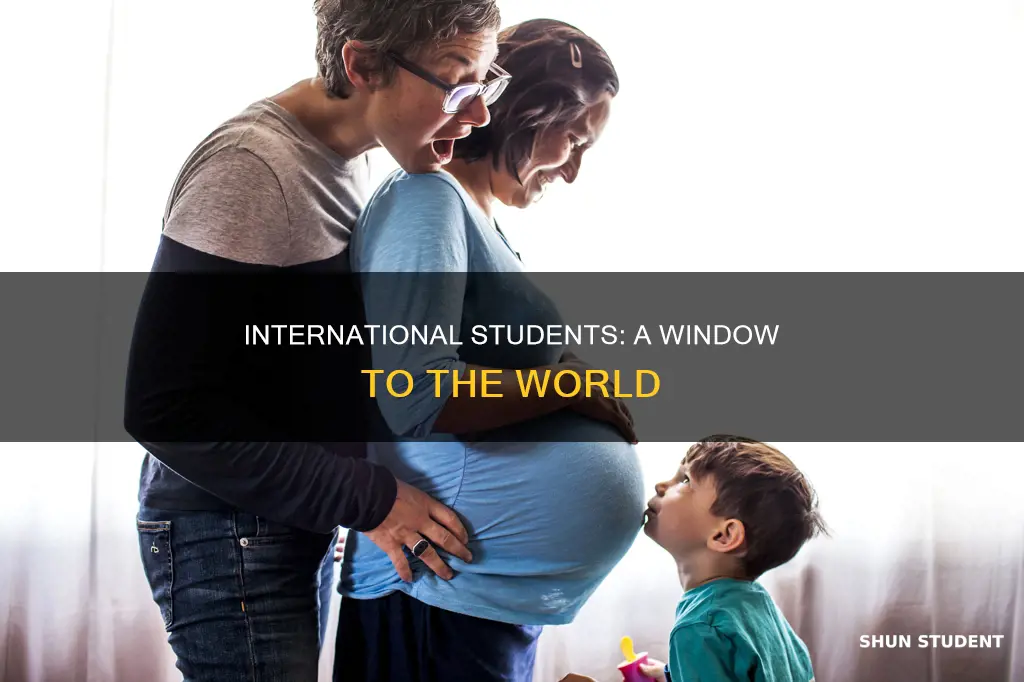 why should domerstic students care about international students