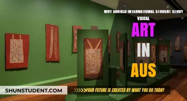 Visual Arts in Aus: A Global Student's Guide