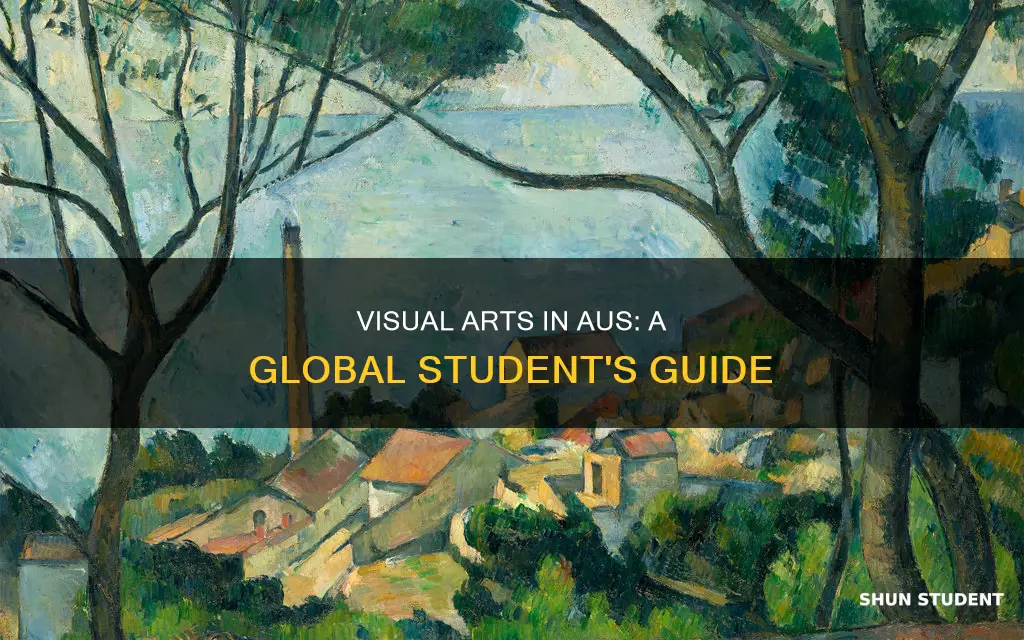 why should international student study visual art in aus