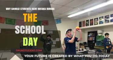 Rejuvenating Minds: The Importance of Breaks in the School Day