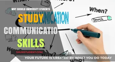 Communication Skills: University Students' Success Secret Weapon