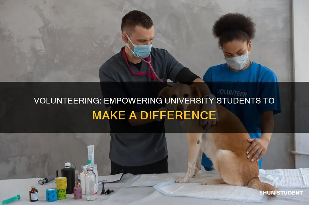 why should university students volunteer