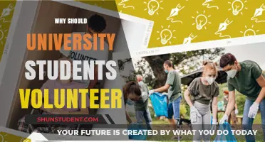 Volunteering: University Students' Key to Success