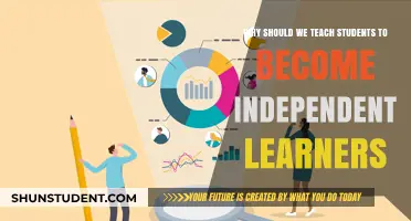Empowering Independence: Why Teaching Self-Directed Learning Benefits Students