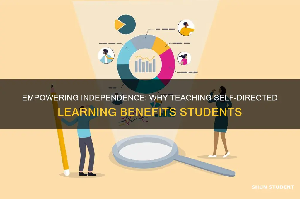 why should we teach students to become independent learners