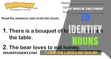 Empowering Language Skills: Why Teaching Noun Identification Matters for Students
