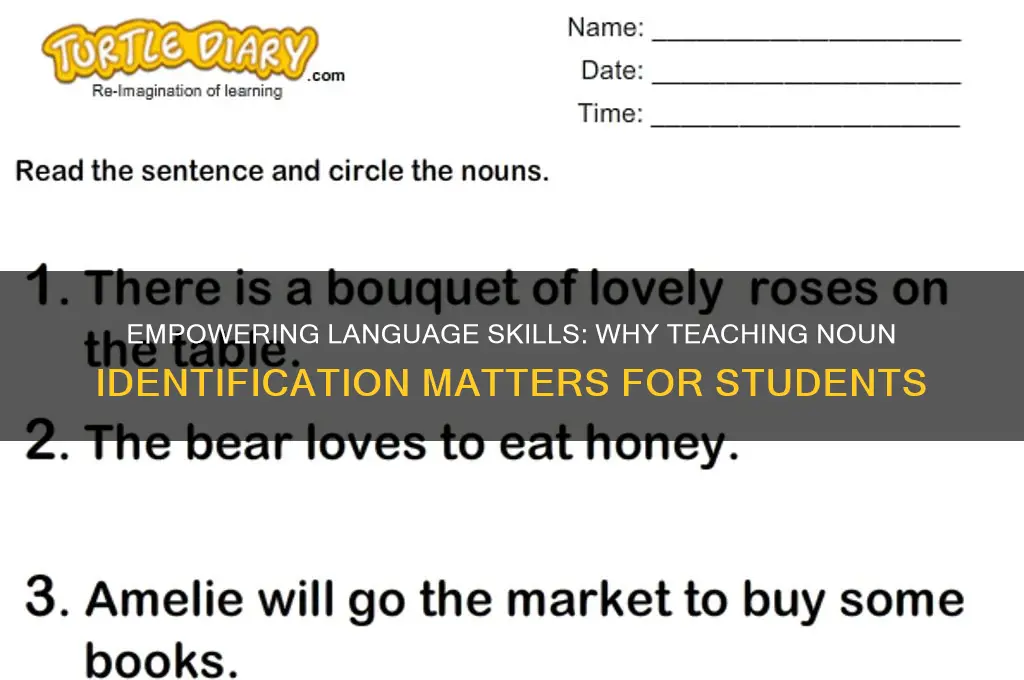 why should we teach students to identify nouns