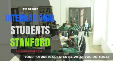 Stanford: A Global Student Magnet