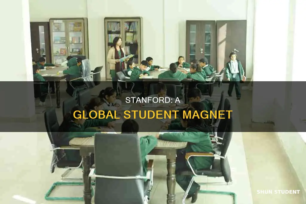why so many international students stanford
