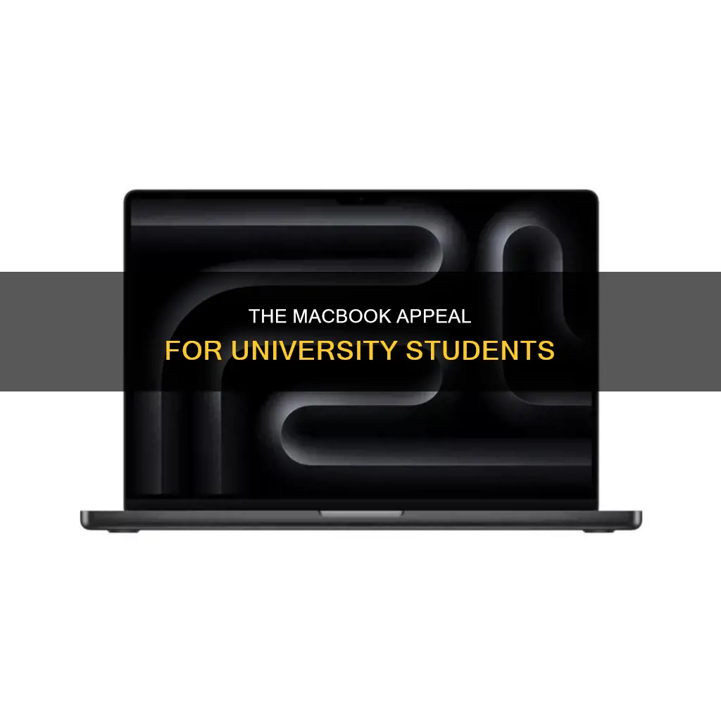 why so many university students have maacbook