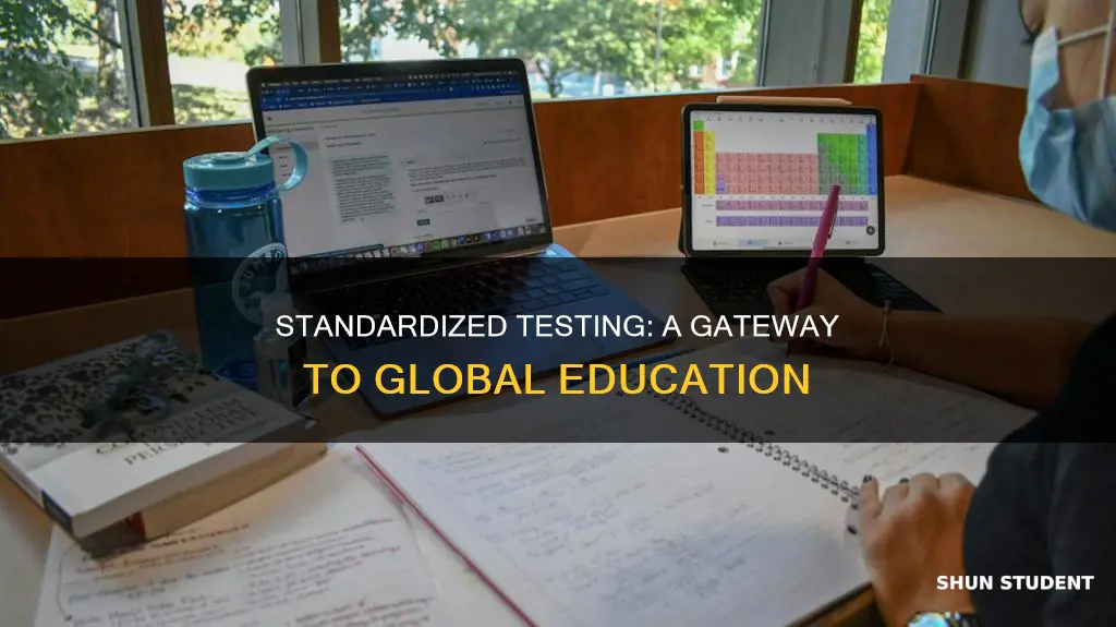 why standardized testing is good for international students