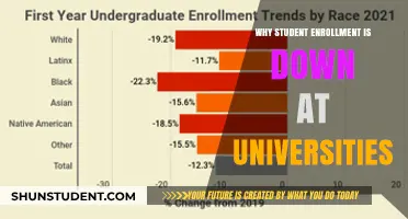 Economic Downturn: A Key Factor in Declining University Enrollments