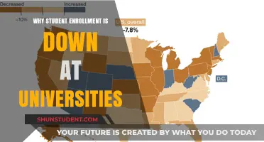 Universities Struggle with Declining Student Enrollment Rates