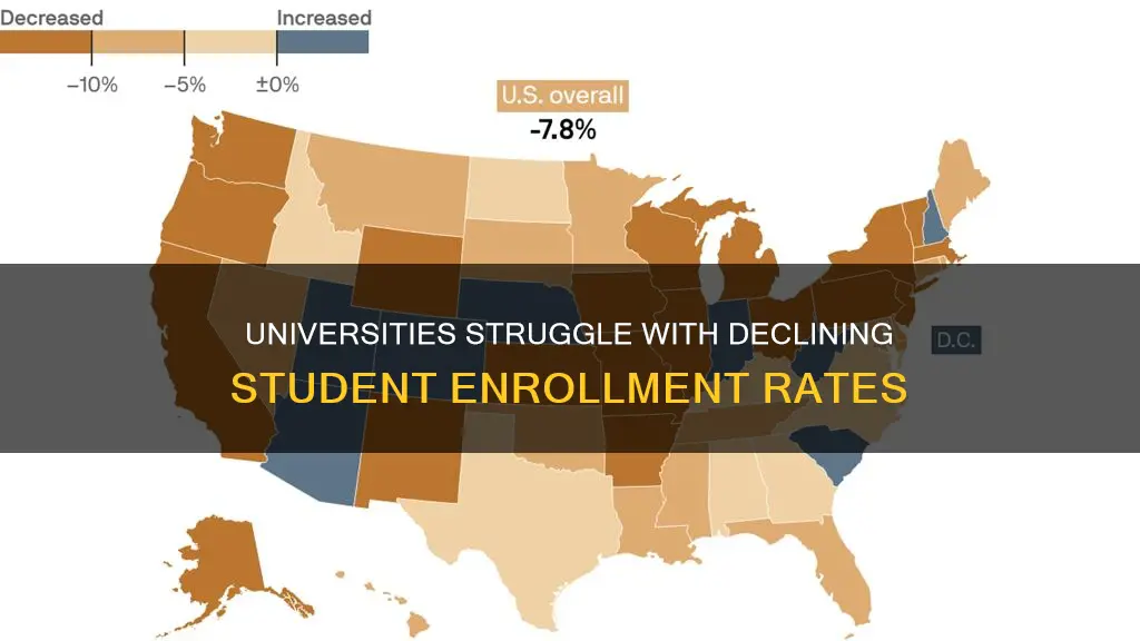 why student enrollment is down at universities