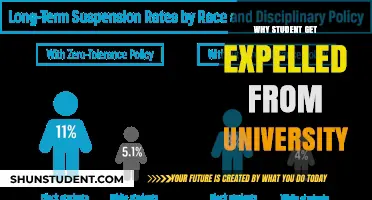 University Expulsions: Reasons and Student Reflections