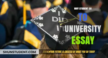 University: A Student's Journey and Destination