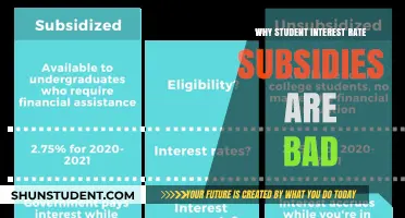 The Hidden Costs of Student Interest Rate Subsidies: A Critical Analysis