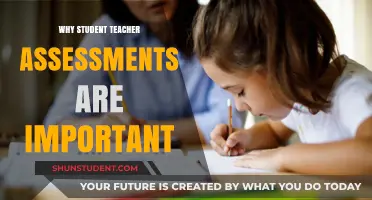 Why Student-Teacher Assessments Are Crucial for Educational Growth