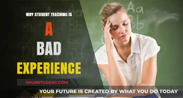 Student Teaching Struggles: Unveiling the Harsh Realities of Classroom Challenges