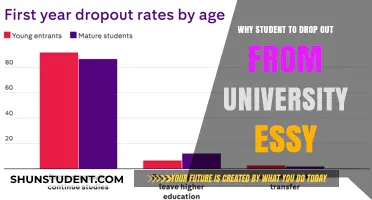 Unraveling the University Dropout Crisis: Understanding the Why and How