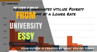 University Dropouts: Why Students Leave Campus Life