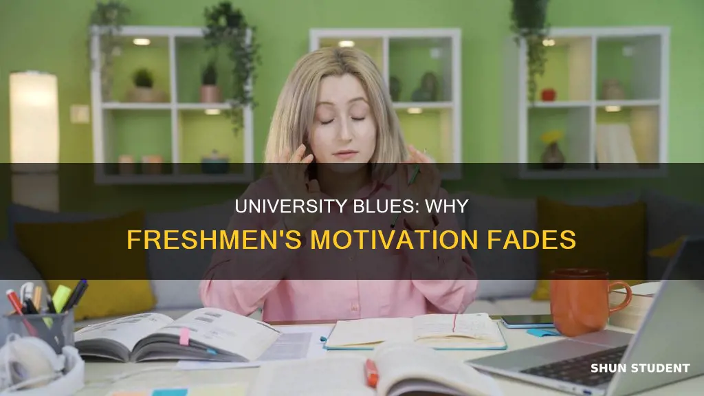 why students became unmotivated after enter university