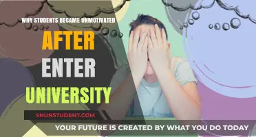 University: The Motivation Killer