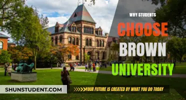 Unveiling Brown's Allure: Why Students Opt for a Brown Education