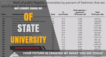 Exploring Student Decisions: Out-of-State University Appeal