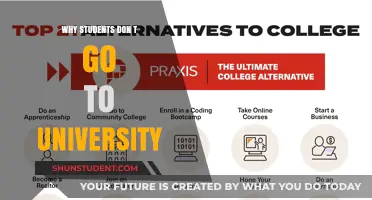 The High Cost of Higher Education: Why Students Opt Out