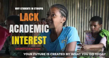Exploring the Roots of Declining Academic Interest Among Ethiopian Students