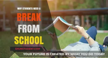 Rejuvenating Young Minds: The Importance of School Breaks