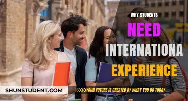 Gaining Global Perspective: Why Students Need International Experience