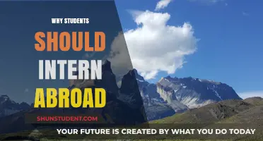 Interning Abroad: A Student's Gateway to Success