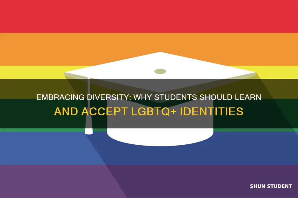 why students should not teach lgbtq and accept it
