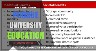 University Education: Empowering Students for Future Success
