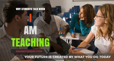Why Students Interrupt: Understanding Classroom Chatter During Lessons